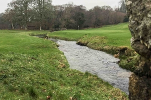 The stream at Bovey Castle Golf Course.