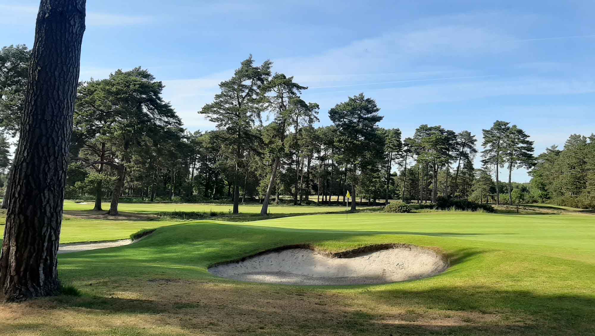 blackmoor-golf-club-evalu18-best-golf-course-in-england