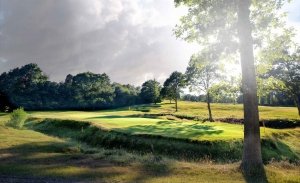Not a bunker to be seen at Royal Ashdown Golf Club.