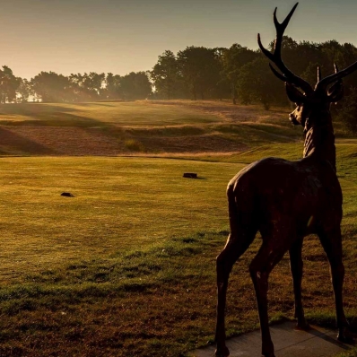 The stunning beauty of the heathland Sherwood Forest Golf Club.