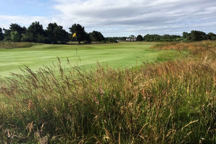 A photo from the rough at Formby Ladies Golf Club.