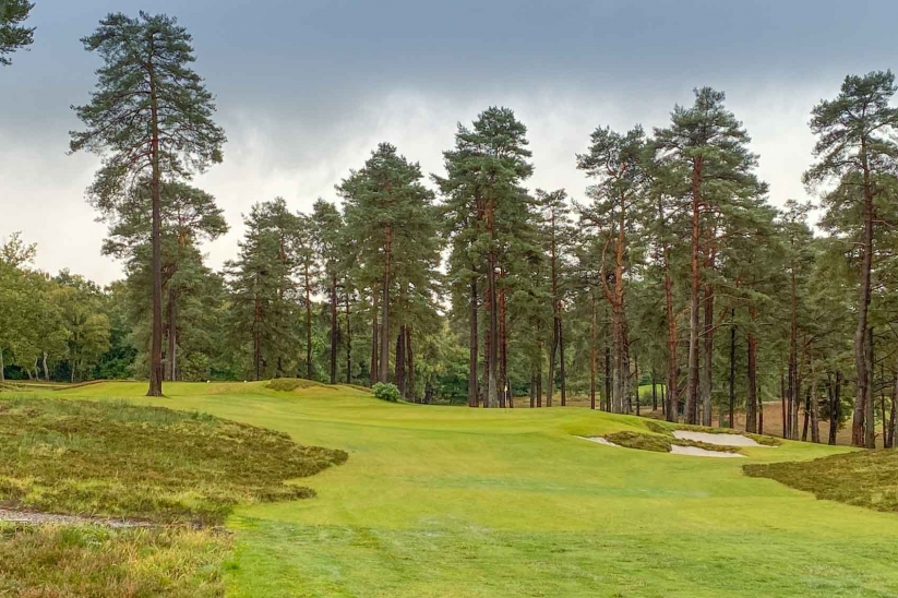 Liphook Golf Club Tom Simpson Evalu18 Top Golf Course England