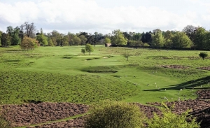 The deer are a common site at Knole Park Golf Club. It is one of the Best Inland Golf Courses Kent.