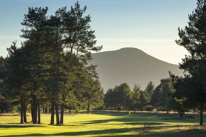 A photo of the scot's pines at Ladybank Golf Club.