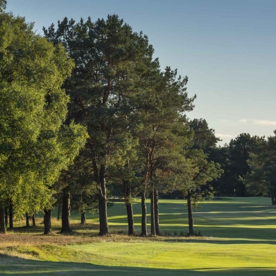 The tree lined fairways at Ladybank Golf Club.