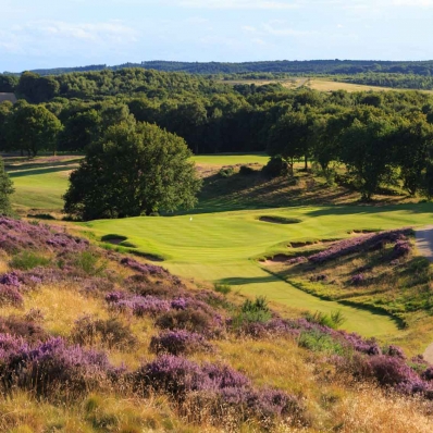 The heather clad 13th hole at Notts Golf Club - Hollinwell.