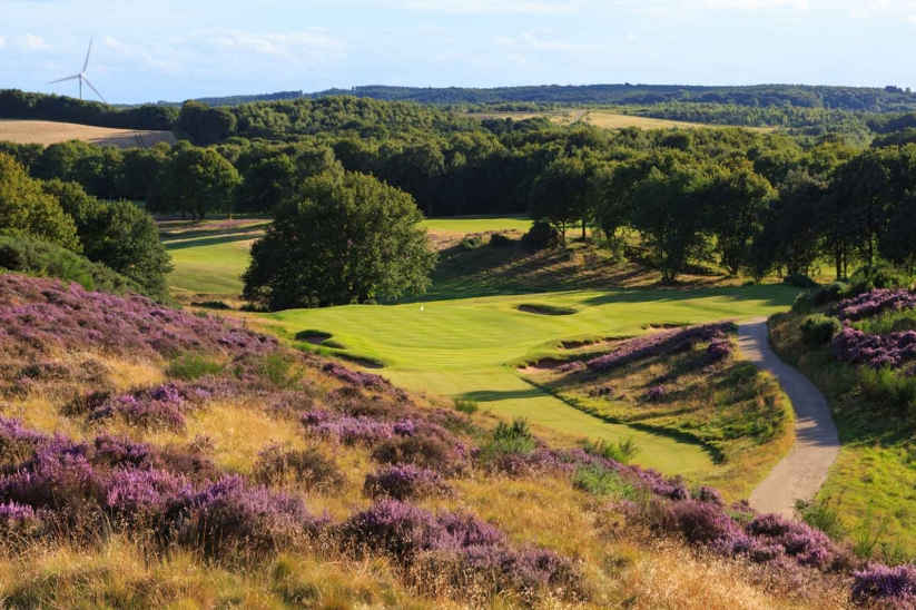 The heather clad 13th hole at Notts Golf Club - Hollinwell.
