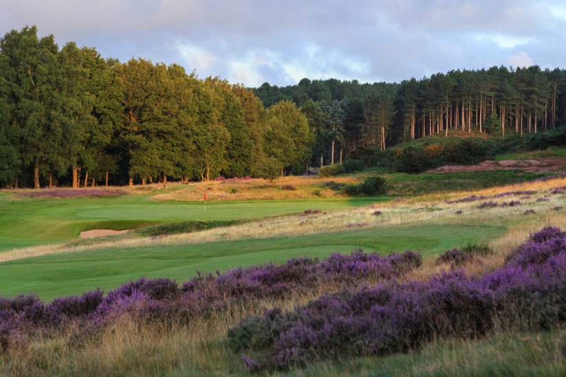 The heather clad 16th hole at Notts Golf Club - Hollinwell.