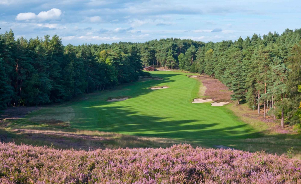 The magnificent heathland golf course, Sunningdale Golf Club Old.
