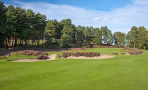 The heather trimmed bunkers of Sunningdale Golf Club Old Course which features in Harry Colt Travel Guide.