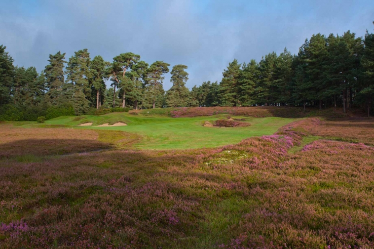 A photo of Hole 4 at SFGC.
