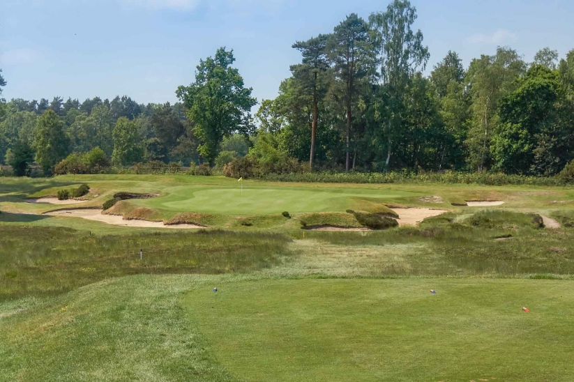 The clever Willie Park bunkering at Worplesdon Golf Club.