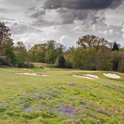 The wildflowers in bloom at Tandridge Golf Club.