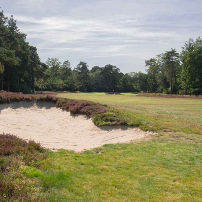The heathlands are returning at New Zealand Golf Club.