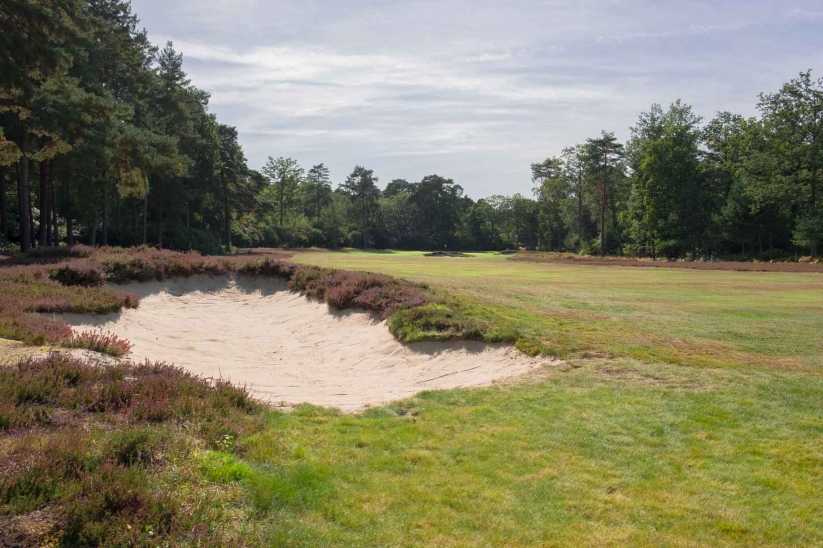 The heathlands are returning at New Zealand Golf Club.