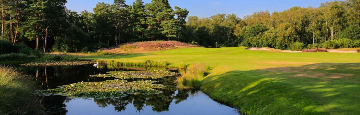 A photo of the par 4 14th at West Sussex Golf Club. A heathland golf course type.