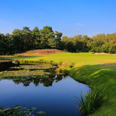 A photo of the par 4 14th at West Sussex Golf Club. A heathland golf course type.