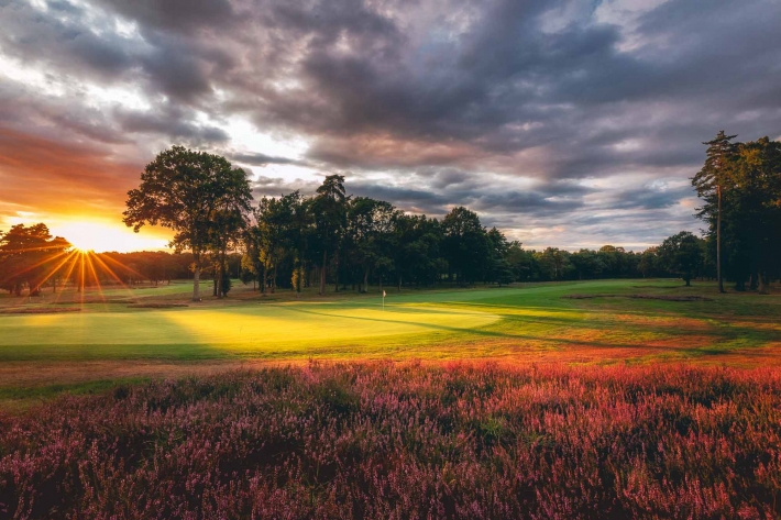 A photo of the heather clad 5th hole at Woking Golf Club.