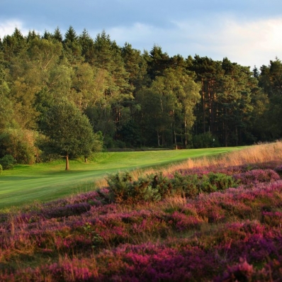 The 2nd hole with green in the distance at Liphook Golf Club.
