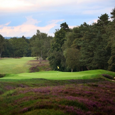 The green site at the 7th hole at Liphook Golf Club.