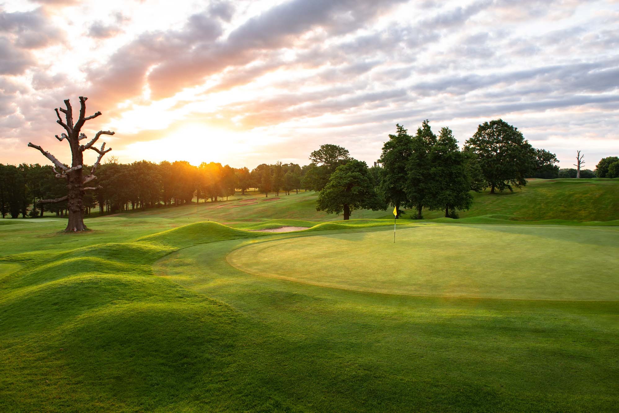 The green contours at Moor Park Golf Club.