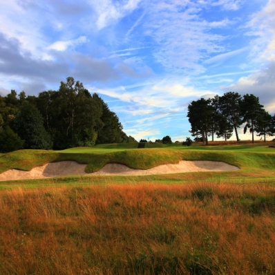 The heather clad bunkers of Alister MacKenzie at Moortown Golf Club.