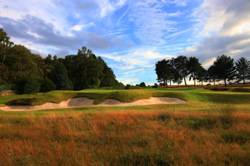 The heather clad bunkers of Alister MacKenzie at Moortown.