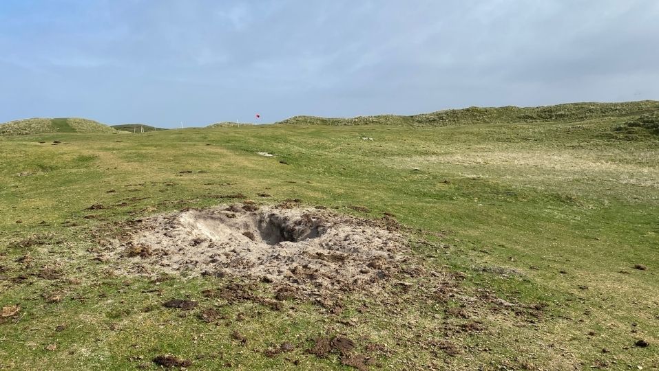 Animal made bunker hazard at Askernish Golf Club. 