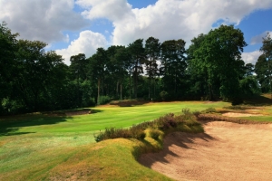 The 16th green site on the blue nine at St George's Hill Golf Club with heather clad bunkers.