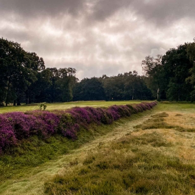 7th Hole Wentworth Club East Course Harry Colt