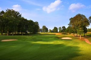 A photo of the enchanting pine forests at Woburn Golf Club.
