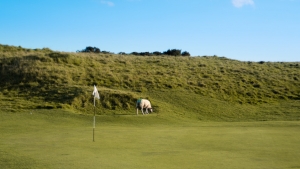 The greenkeepers Cleeve Hill Golf Club.