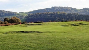 A green complex at Welshpool Golf Club.
