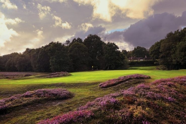 A photo of the 15th hole at Piltdown GC.